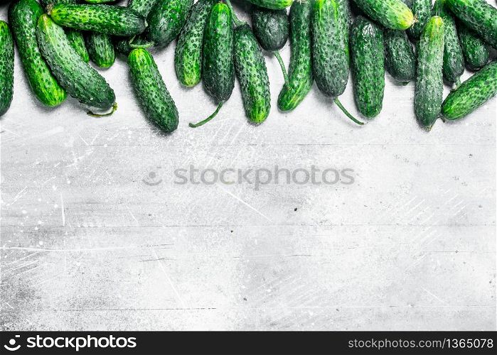Fresh ripe cucumbers. On white rustic background. Fresh ripe cucumbers.