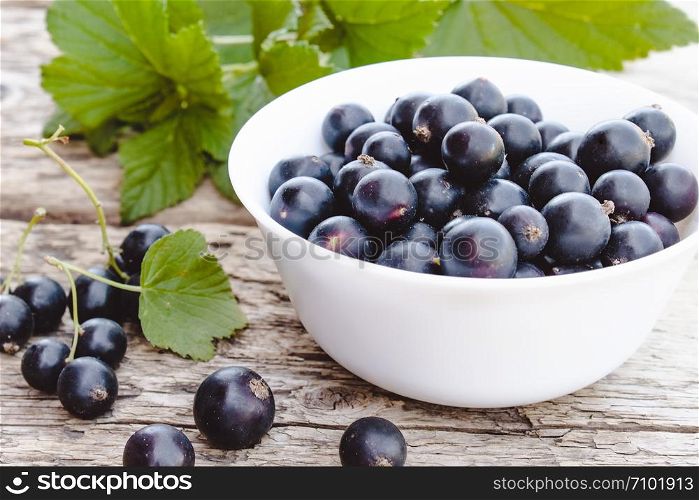 Fresh ripe currant berries in a white bowl on wooden background near green leaves. Juicy natural fruits currant. Black currant. Fresh ripe currant berries in a white bowl on wooden background near green leaves. Juicy fruits currant. Black currant