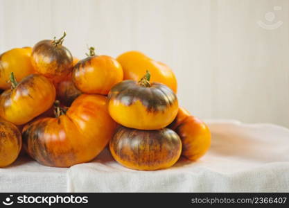 Fresh ripe delicious tomatoes. Heap of fresh brown and yellow tomatoes. Many tomato from the garden. Summer ripe tomato.. Organic fresh juicy brown and yellow tomatoes.