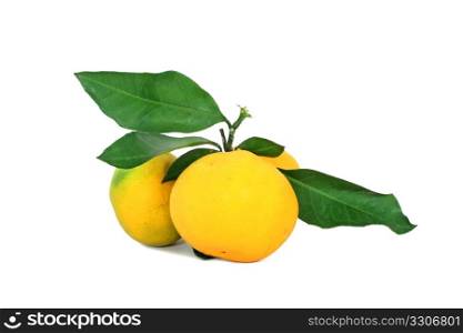 Fresh ripe mandarins isolated on white