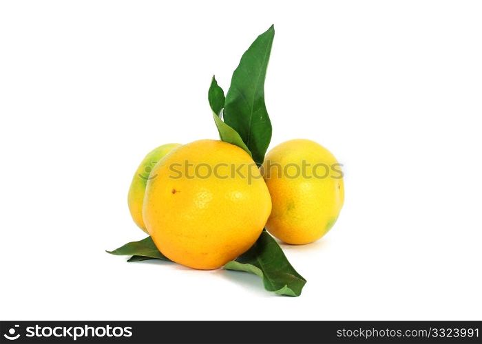 Fresh ripe mandarins with leaves isolated on white
