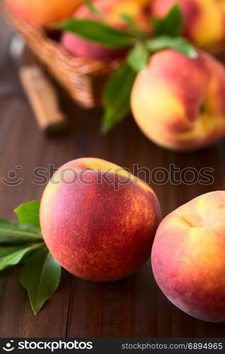 Fresh ripe peaches, photographed on dark wood with natural light (Selective Focus, Focus on the front of the front left peach). Fresh Ripe Peaches