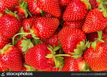 Fresh ripe perfect strawberry - Food frame background