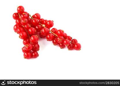 Fresh ripe red currants isolated on white background.