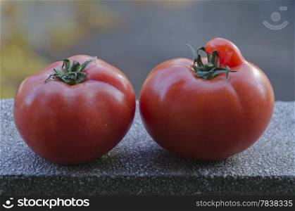 Fresh ripe red tomato