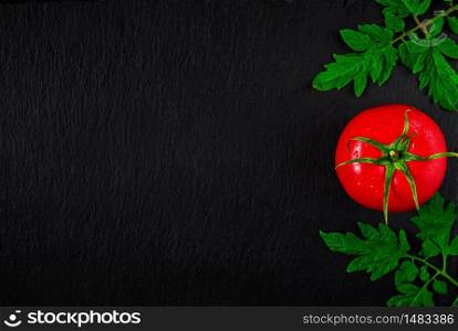 Fresh ripe red tomato in drops of water on a black stone background. Layout with copy space.