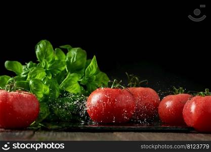 Fresh ripe red tomatoes on a cutting board with fresh basil on a wooden background. Freshly picked red tomatoes and basil leaves with splashes of water