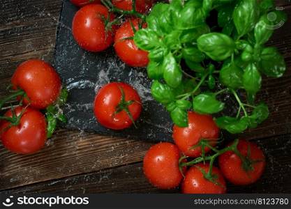 Fresh ripe red tomatoes on a cutting board with fresh basil on a wooden background. Freshly picked red tomatoes and basil leaves with splashes of water. top view 