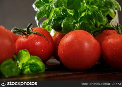 Fresh ripe red tomatoes with fresh basil on a wooden background. Freshly picked red tomatoes and basil leaves 