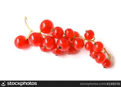 fresh ripe redcurrant fruit isolated on white
