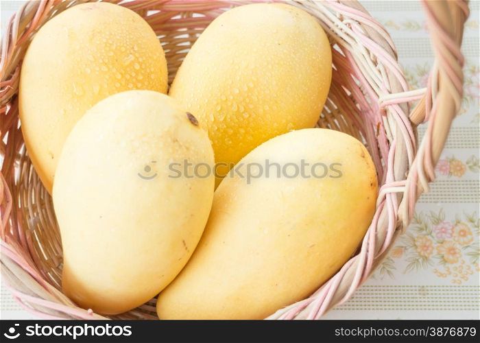 Fresh ripe thai yellow mango, stock photo