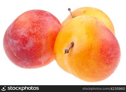fresh ripe yellow plums isolated on white background