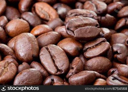 fresh roasted coffee beans