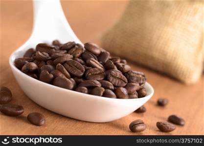 Fresh roasted coffee beans on ceramic spoon with jute sack in the back (Selective Focus, Focus on the coffee beans one third into the spoon)