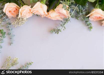 fresh rose flowers. Rose flowers row on blue table from above with copy space