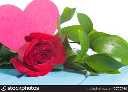 Fresh rose with a heart on a white background