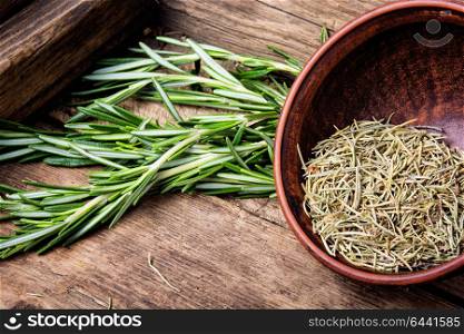 Fresh rosemary bunch. Fresh green of rosemary and dried rosemary on vintage wooden background