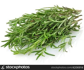 Fresh Rosemary Herbs On White Background,Close Up