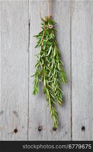 Fresh rosemary hung upside down to dry.
