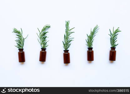 Fresh rosemary isolated on white background.