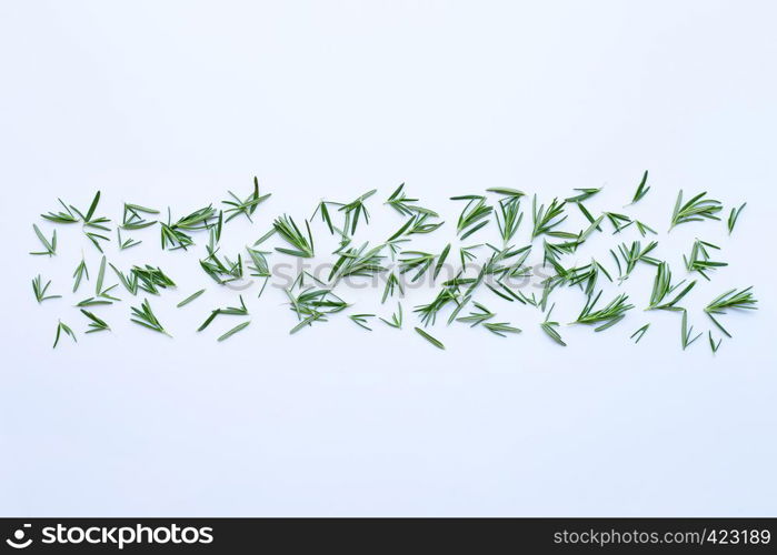 Fresh rosemary isolated on white background.