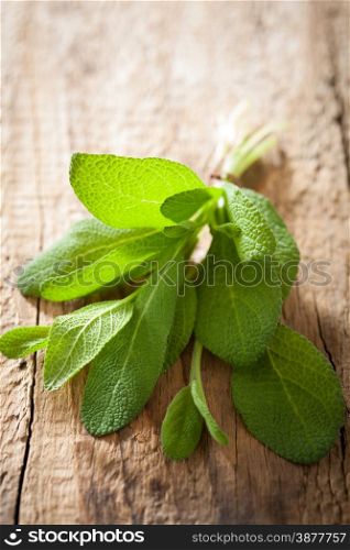 fresh sage herb leaves on rustic wooden background