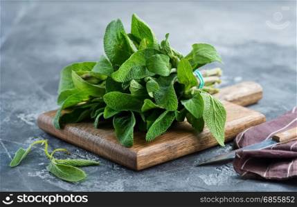 fresh sage on wooden board and on a table