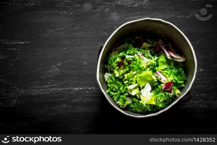 Fresh salad greens in an old pot. On the black wooden table.. Fresh salad greens in an old pot.