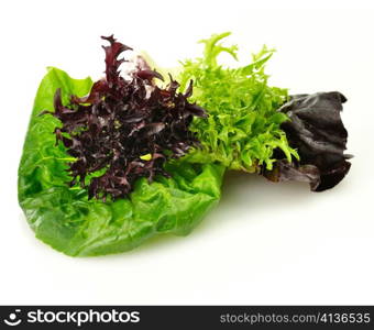 fresh salad leaves assortment