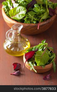 fresh salad leaves in bowl: spinach, mangold, ruccola