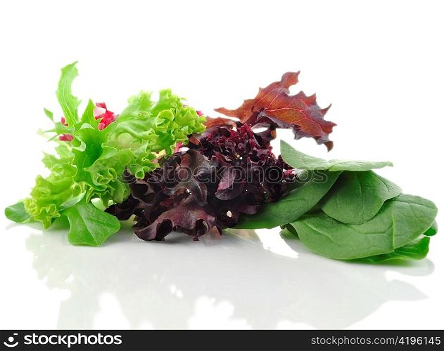 fresh salad leaves mix on white background