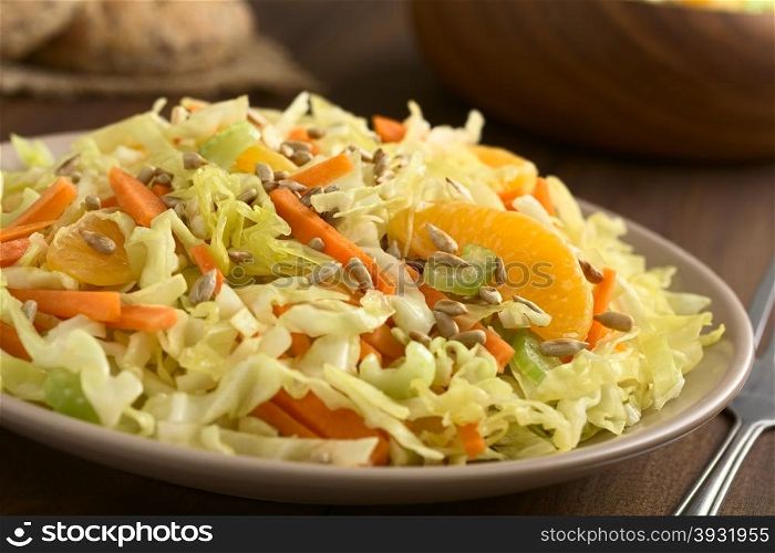Fresh salad made of savoy cabbage, carrot, celery, and orange with roasted sunflower seeds on top, photographed with natural light (Selective Focus, Focus one third into the salad)