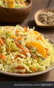 Fresh salad made of savoy cabbage, carrot, celery, and orange with roasted sunflower seeds on top, photographed with natural light (Selective Focus, Focus one third into the salad)