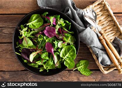 Fresh salad mix of baby spinach, arugula leaves, basil and chard. Italian cuisine