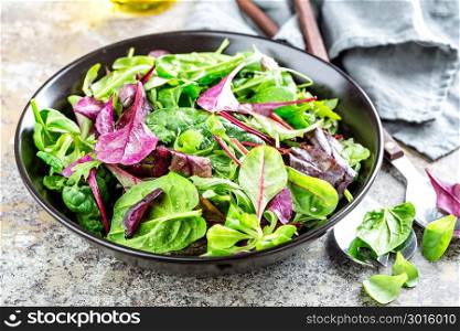 Fresh salad mix of baby spinach, arugula leaves, basil, chard and lambs lettuce. Salad bowl, healthy food