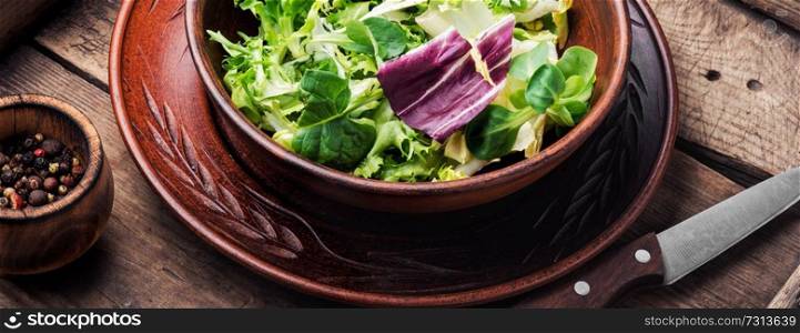Fresh salad plate with mixed greens.Healthy food. Summer vitamin salad