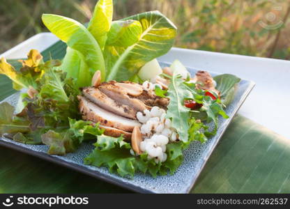 Fresh salad with chicken sliced breast, Healthy food