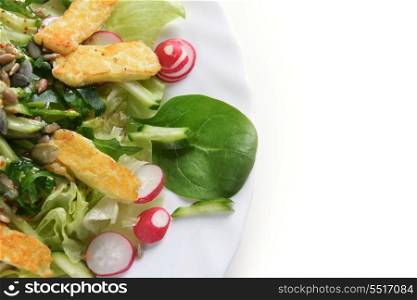Fresh salad with greens, radishes and fried cheese