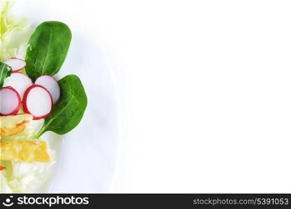Fresh salad with greens, radishes and fried cheese on dish