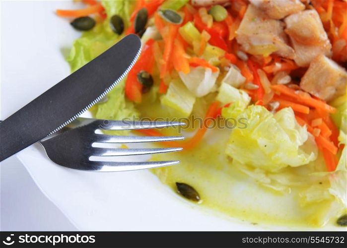 Fresh salad with lettuce, carrot and meat on dish
