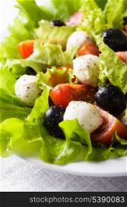 Fresh salad with mozarella cheese and vegetables