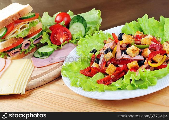 Fresh sandwich and tasty salad on plate, close up