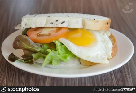 fresh sandwich with tomatoes , lettuce and fried egg on dish