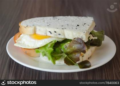 fresh sandwich with tomatoes , lettuce and fried egg on dish