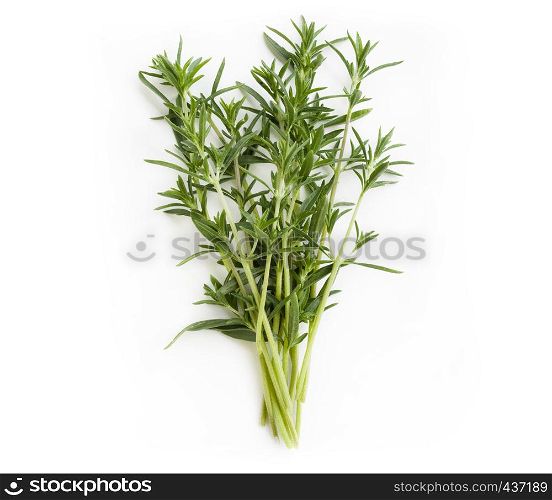 Fresh savory bunch isolated on white background