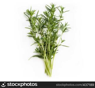 Fresh savory bunch isolated on white background