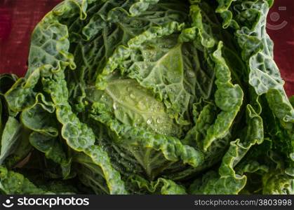 Fresh savoy cabbage closeup on rustic wooden background