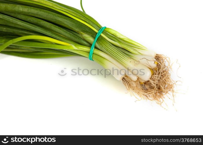 Fresh scallions isolated on a white background with soft shadow.