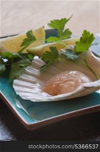 Fresh scallop in shell with lemon and parsley garnish