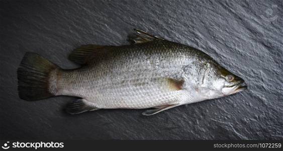 Fresh sea bass fish for cooking / Raw seabass ocean gourmet on dark background in the restaurant